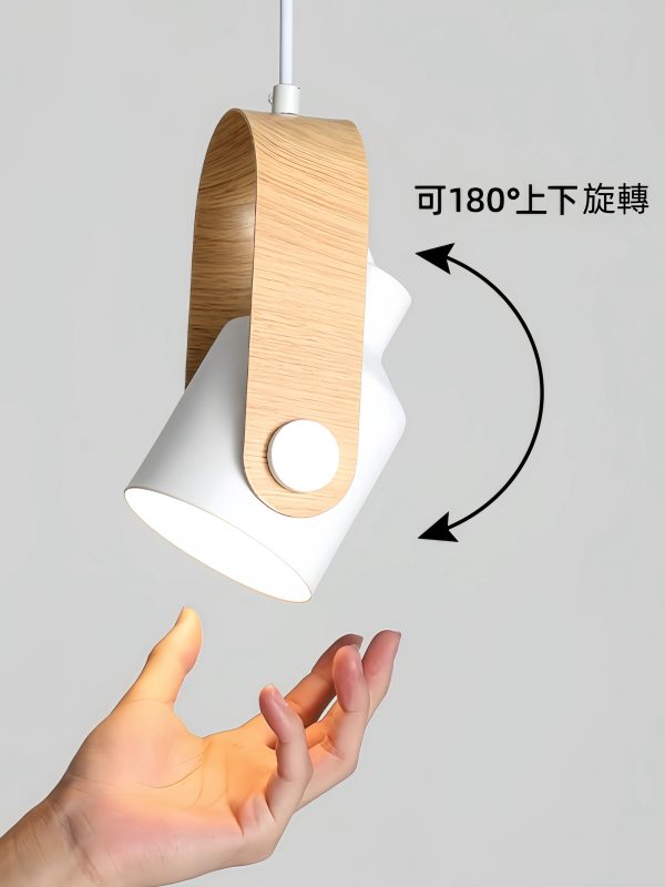 提光吊燈：圖片 11